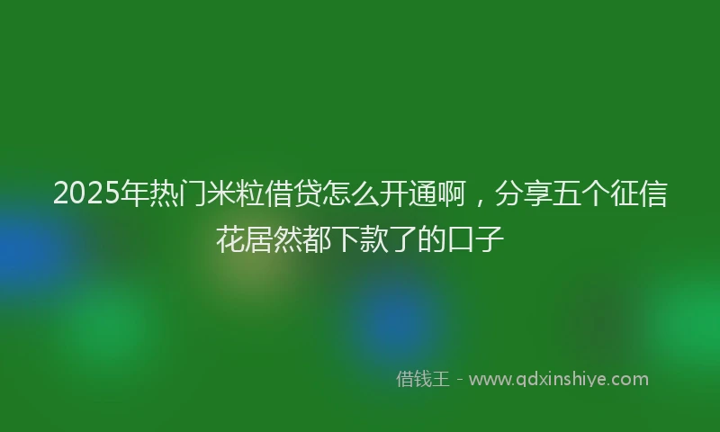 2025年热门米粒借贷怎么开通啊，分享五个征信花居然都下款了的口子