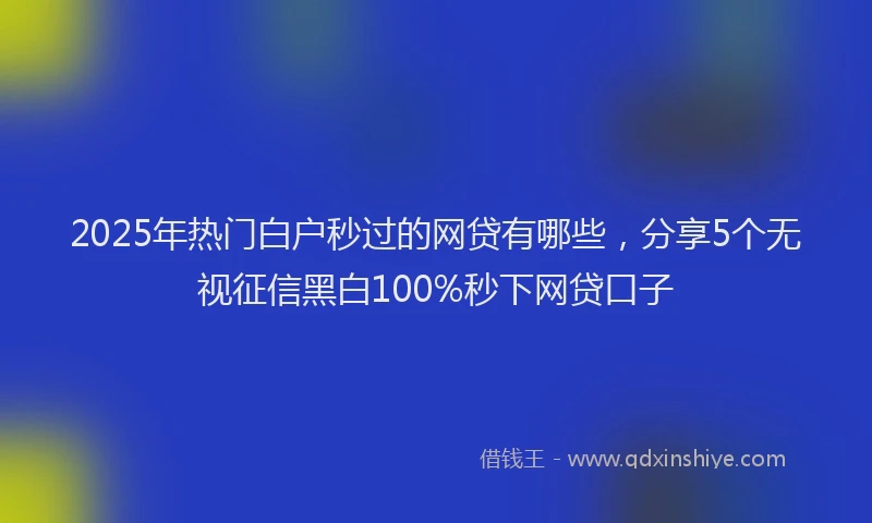 2025年热门白户秒过的网贷有哪些，分享5个无视征信黑白100%秒下网贷口子