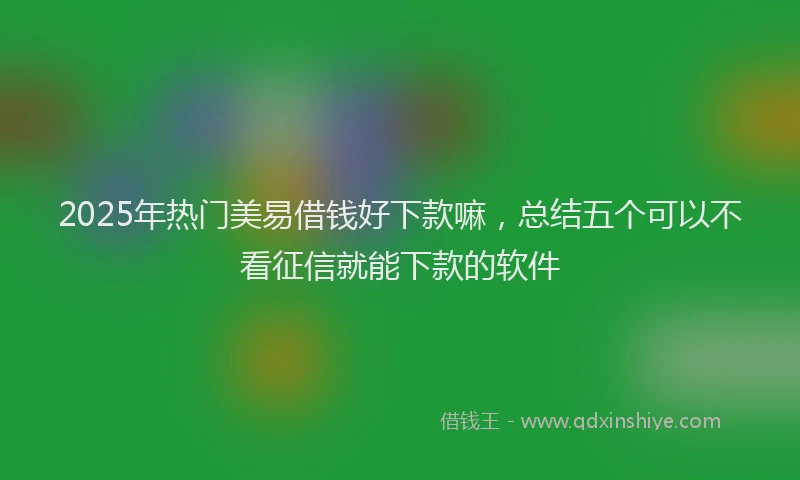 2025年热门美易借钱好下款嘛，总结五个可以不看征信就能下款的软件