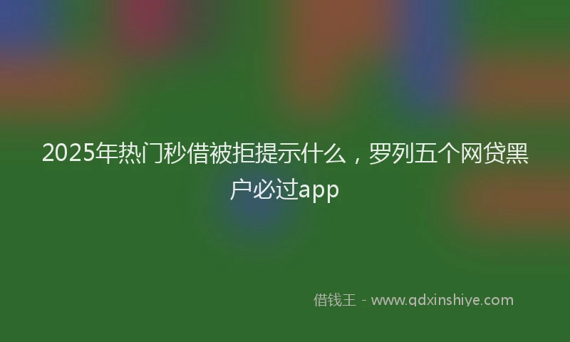 2025年热门秒借被拒提示什么，罗列五个网贷黑户必过app