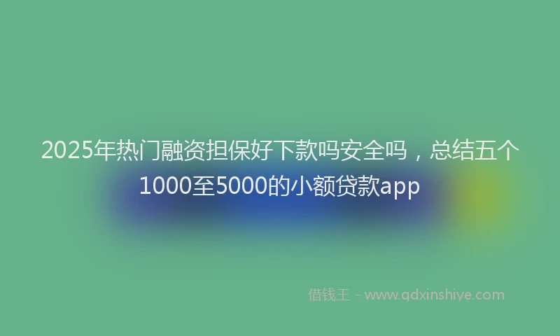 2025年热门融资担保好下款吗安全吗，总结五个1000至5000的小额贷款app