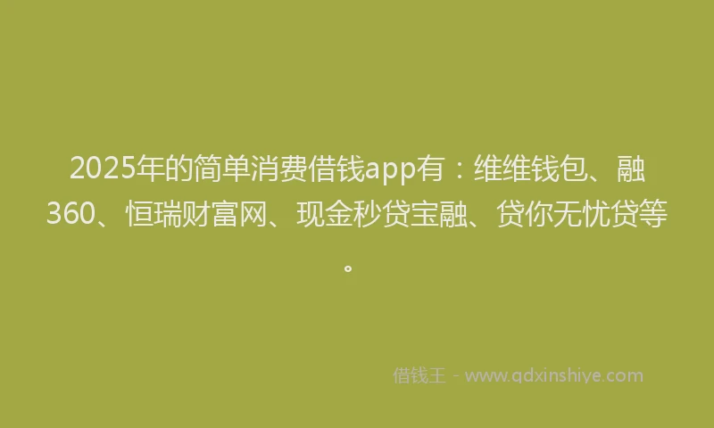 2025年的简单消费借钱app有：维维钱包、融360、恒瑞财富网、现金秒贷宝融、贷你无忧贷等。