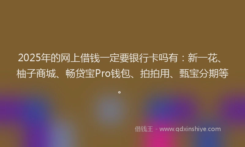 2025年的网上借钱一定要银行卡吗有：新一花、柚子商城、畅贷宝Pro钱包、拍拍用、甄宝分期等。