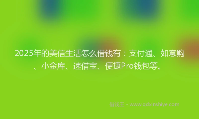 2025年的美信生活怎么借钱有：支付通、如意购、小金库、速借宝、便捷Pro钱包等。