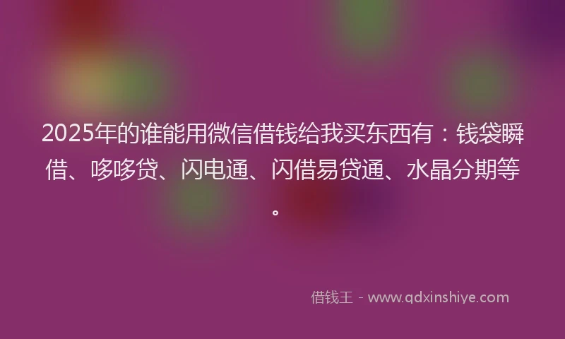 2025年的谁能用微信借钱给我买东西有：钱袋瞬借、哆哆贷、闪电通、闪借易贷通、水晶分期等。
