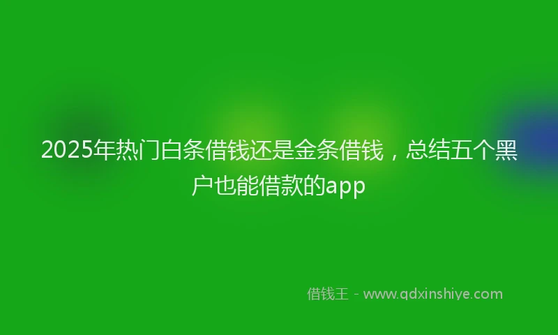 2025年热门白条借钱还是金条借钱，总结五个黑户也能借款的app