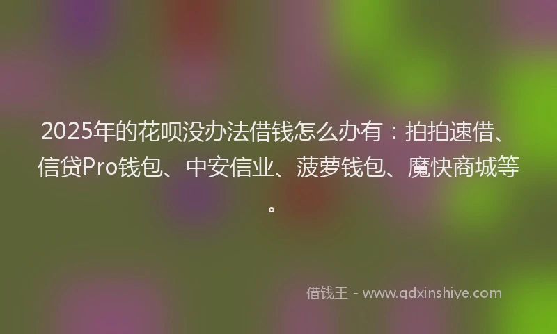 2025年的花呗没办法借钱怎么办有：拍拍速借、信贷Pro钱包、中安信业、菠萝钱包、魔快商城等。
