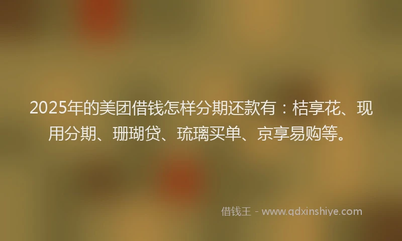 2025年的美团借钱怎样分期还款有：桔享花、现用分期、珊瑚贷、琉璃买单、京享易购等。