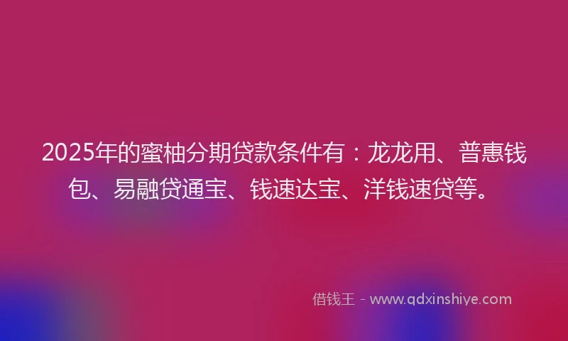 2025年的蜜柚分期贷款条件有：龙龙用、普惠钱包、易融贷通宝、钱速达宝、洋钱速贷等。