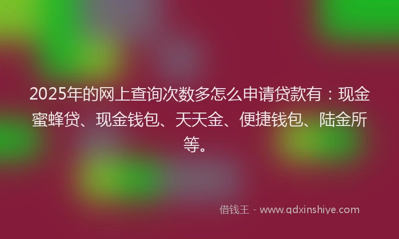 2025年的网上查询次数多怎么申请贷款有：现金蜜蜂贷、现金钱包、天天金、便捷钱包、陆金所等。