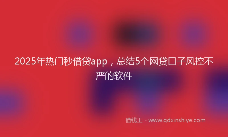 2025年热门秒借贷app，总结5个网贷口子风控不严的软件