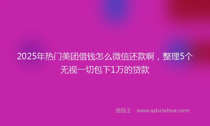 2025年热门美团借钱怎么微信还款啊，整理5个无视一切包下1万的贷款