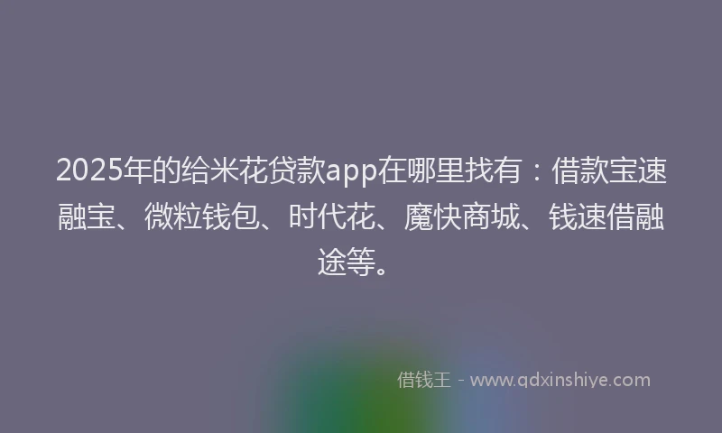 2025年的给米花贷款app在哪里找有：借款宝速融宝、微粒钱包、时代花、魔快商城、钱速借融途等。