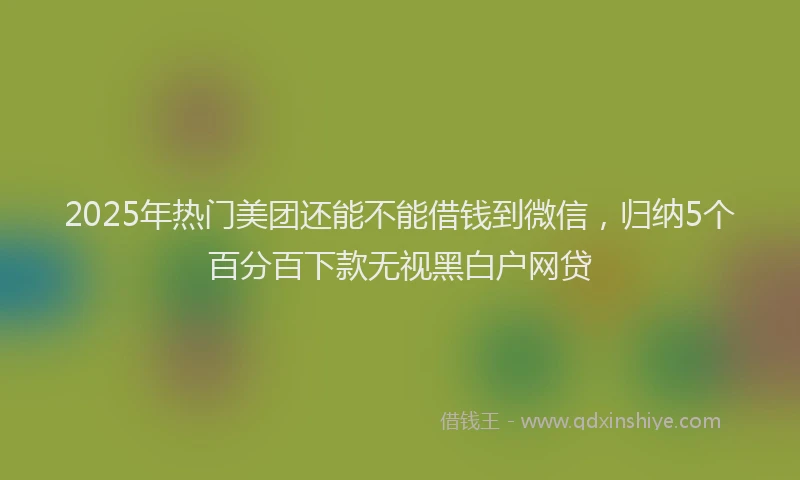 2025年热门美团还能不能借钱到微信，归纳5个百分百下款无视黑白户网贷