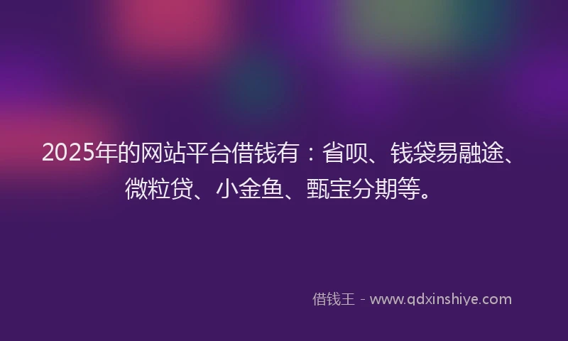 2025年的网站平台借钱有：省呗、钱袋易融途、微粒贷、小金鱼、甄宝分期等。