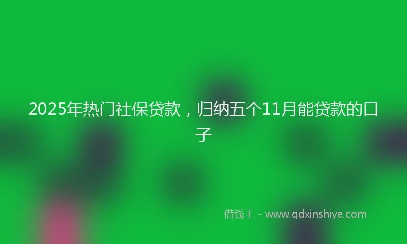 2025年热门社保贷款，归纳五个11月能贷款的口子