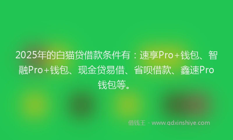 2025年的白猫贷借款条件有：速享Pro+钱包、智融Pro+钱包、现金贷易借、省呗借款、鑫速Pro钱包等。