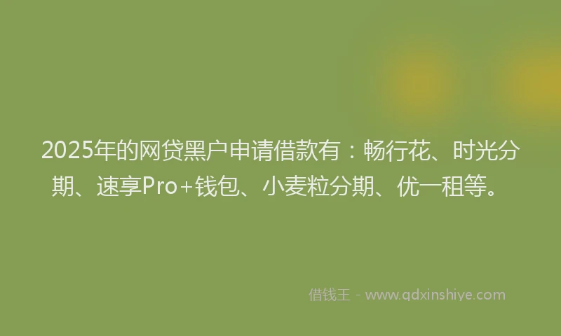 2025年的网贷黑户申请借款有：畅行花、时光分期、速享Pro+钱包、小麦粒分期、优一租等。