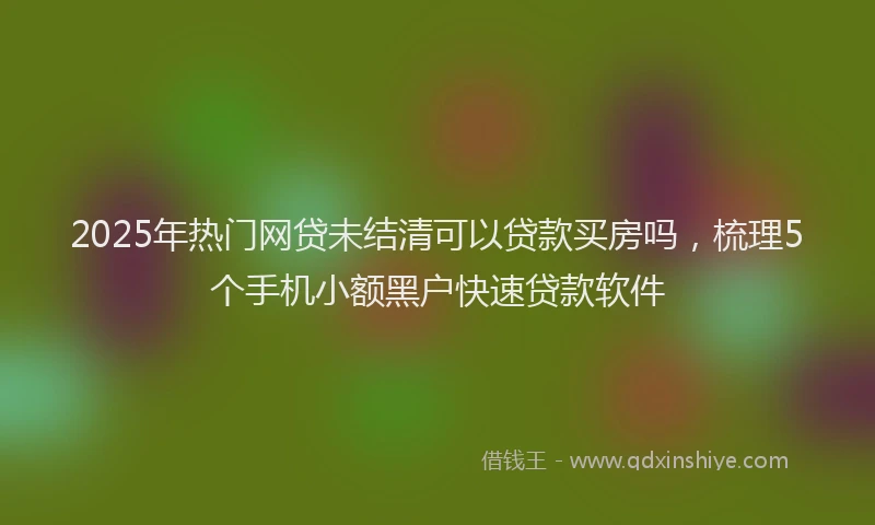 2025年热门网贷未结清可以贷款买房吗，梳理5个手机小额黑户快速贷款软件