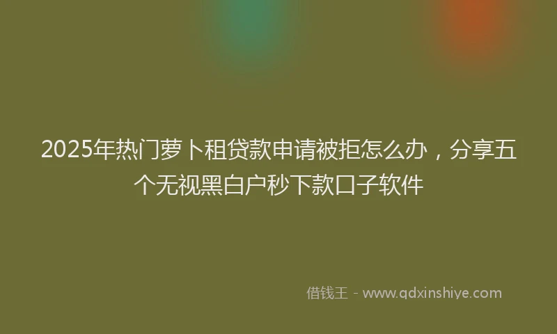 2025年热门萝卜租贷款申请被拒怎么办，分享五个无视黑白户秒下款口子软件