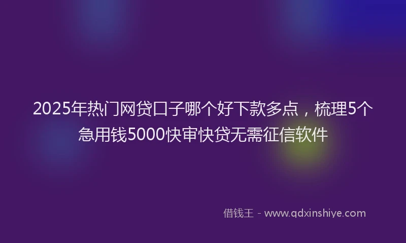 2025年热门网贷口子哪个好下款多点，梳理5个急用钱5000快审快贷无需征信软件