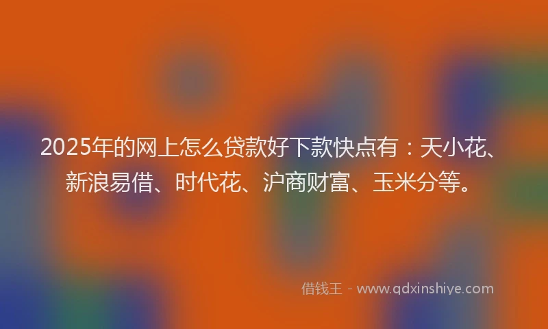 2025年的网上怎么贷款好下款快点有：天小花、新浪易借、时代花、沪商财富、玉米分等。