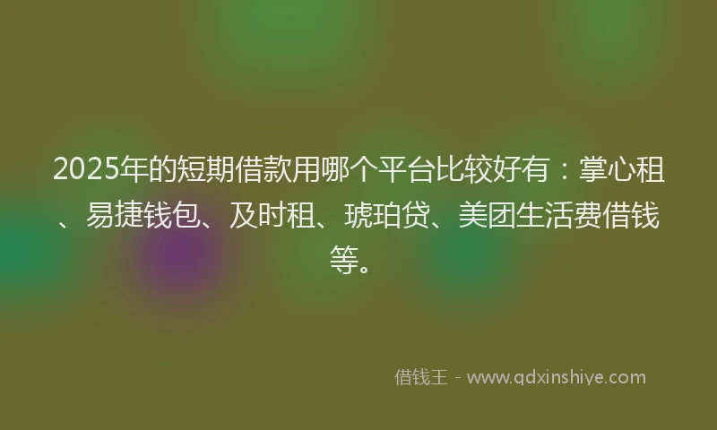 2025年的短期借款用哪个平台比较好有：掌心租、易捷钱包、及时租、琥珀贷、美团生活费借钱等。