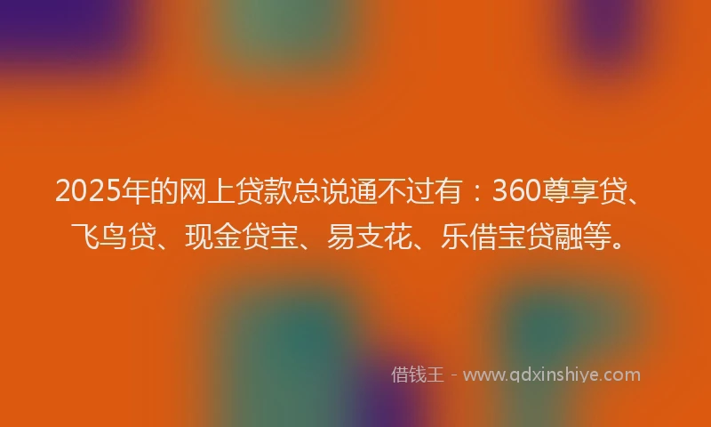 2025年的网上贷款总说通不过有：360尊享贷、飞鸟贷、现金贷宝、易支花、乐借宝贷融等。
