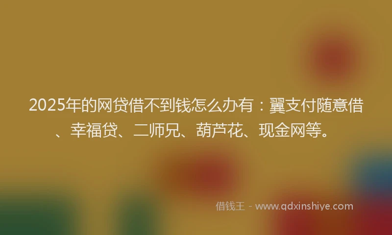 2025年的网贷借不到钱怎么办有：翼支付随意借、幸福贷、二师兄、葫芦花、现金网等。