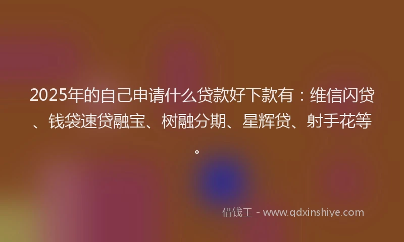 2025年的自己申请什么贷款好下款有：维信闪贷、钱袋速贷融宝、树融分期、星辉贷、射手花等。