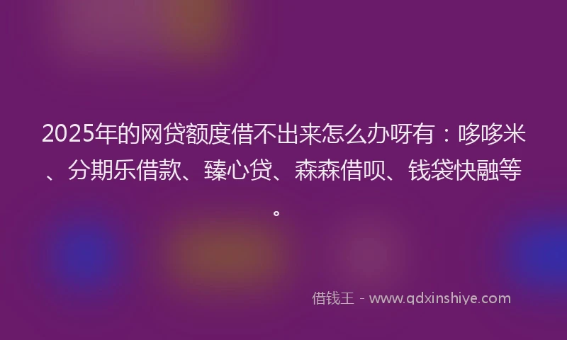2025年的网贷额度借不出来怎么办呀有：哆哆米、分期乐借款、臻心贷、森森借呗、钱袋快融等。