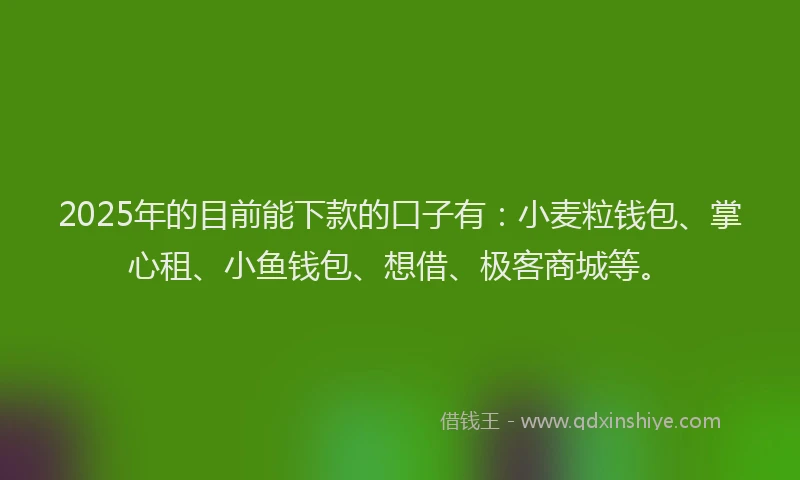 2025年的目前能下款的口子有：小麦粒钱包、掌心租、小鱼钱包、想借、极客商城等。