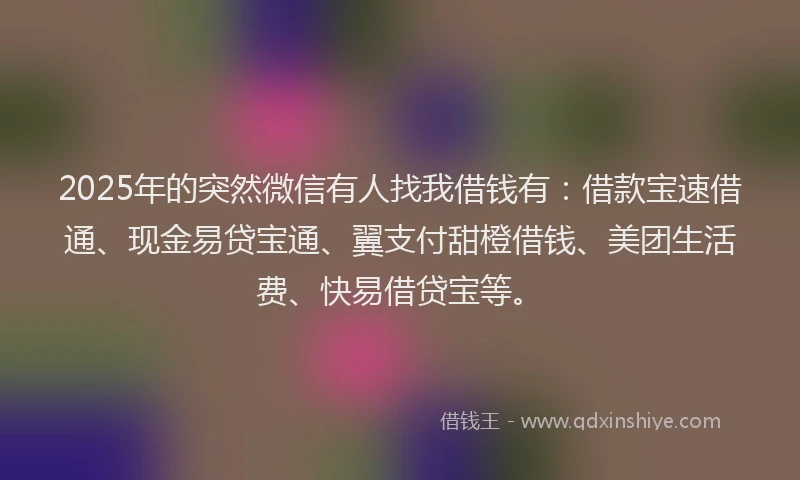 2025年的突然微信有人找我借钱有：借款宝速借通、现金易贷宝通、翼支付甜橙借钱、美团生活费、快易借贷宝等。