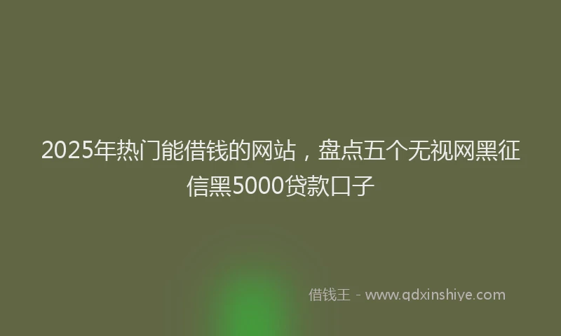 2025年热门能借钱的网站，盘点五个无视网黑征信黑5000贷款口子