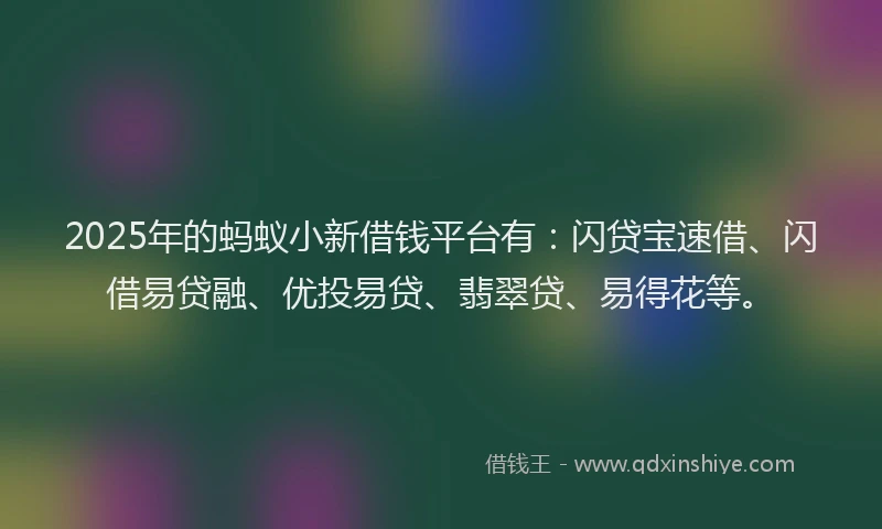 2025年的蚂蚁小新借钱平台有：闪贷宝速借、闪借易贷融、优投易贷、翡翠贷、易得花等。