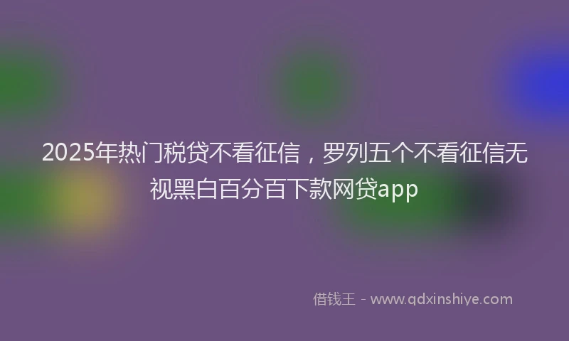 2025年热门税贷不看征信，罗列五个不看征信无视黑白百分百下款网贷app