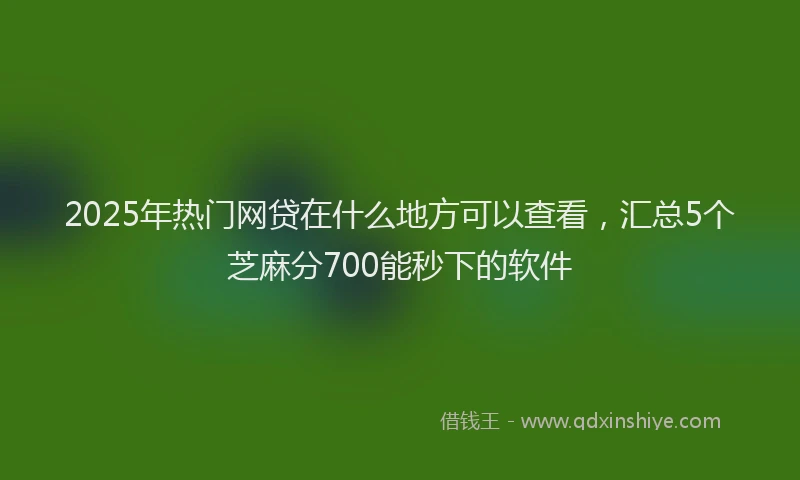 2025年热门网贷在什么地方可以查看，汇总5个芝麻分700能秒下的软件