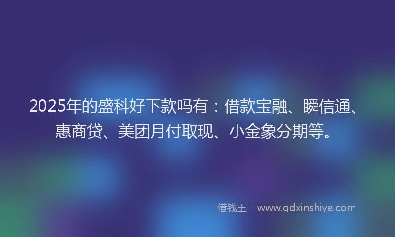 2025年的盛科好下款吗有：借款宝融、瞬信通、惠商贷、美团月付取现、小金象分期等。