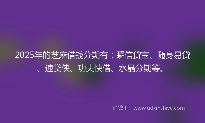 2025年的芝麻借钱分期有：瞬信贷宝、随身易贷、速贷侠、功夫快借、水晶分期等。