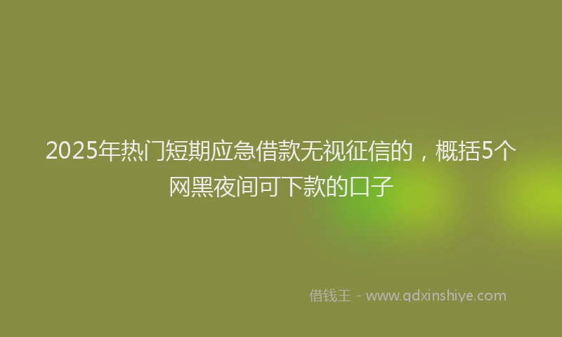 2025年热门短期应急借款无视征信的，概括5个网黑夜间可下款的口子