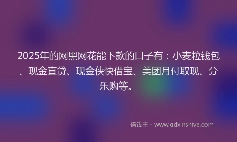 2025年的网黑网花能下款的口子有：小麦粒钱包、现金直贷、现金侠快借宝、美团月付取现、分乐购等。