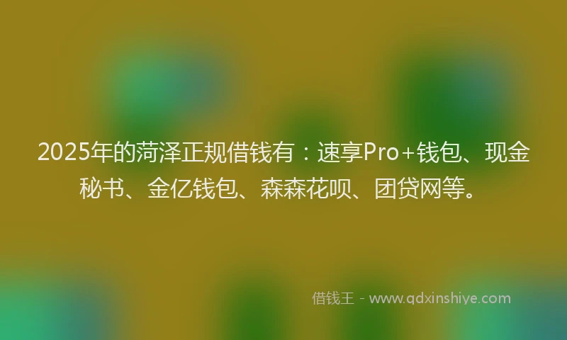 2025年的菏泽正规借钱有：速享Pro+钱包、现金秘书、金亿钱包、森森花呗、团贷网等。