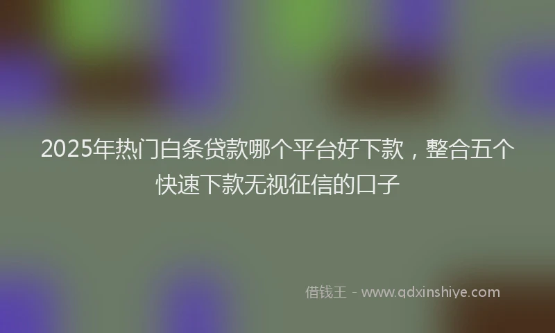 2025年热门白条贷款哪个平台好下款，整合五个快速下款无视征信的口子