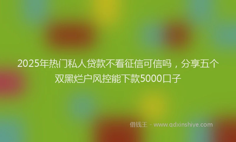 2025年热门私人贷款不看征信可信吗，分享五个双黑烂户风控能下款5000口子