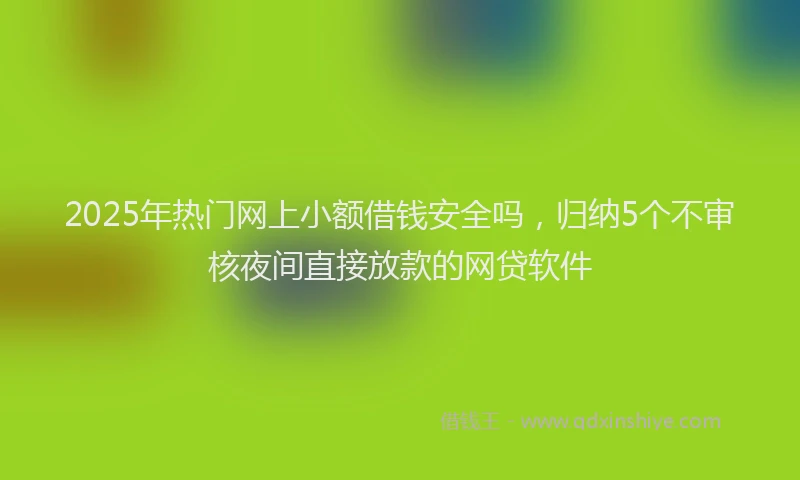 2025年热门网上小额借钱安全吗，归纳5个不审核夜间直接放款的网贷软件