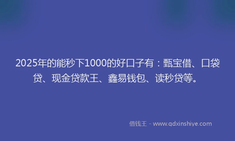 2025年的能秒下1000的好口子有：甄宝借、口袋贷、现金贷款王、鑫易钱包、读秒贷等。