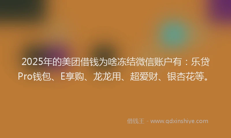 2025年的美团借钱为啥冻结微信账户有：乐贷Pro钱包、E享购、龙龙用、超爱财、银杏花等。