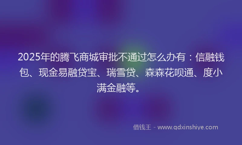 2025年的腾飞商城审批不通过怎么办有：信融钱包、现金易融贷宝、瑞雪贷、森森花呗通、度小满金融等。