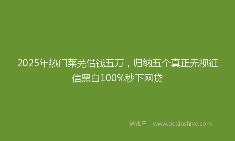 2025年热门莱芜借钱五万，归纳五个真正无视征信黑白100%秒下网贷