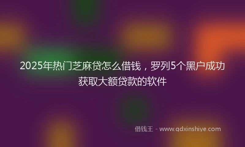 2025年热门芝麻贷怎么借钱，罗列5个黑户成功获取大额贷款的软件